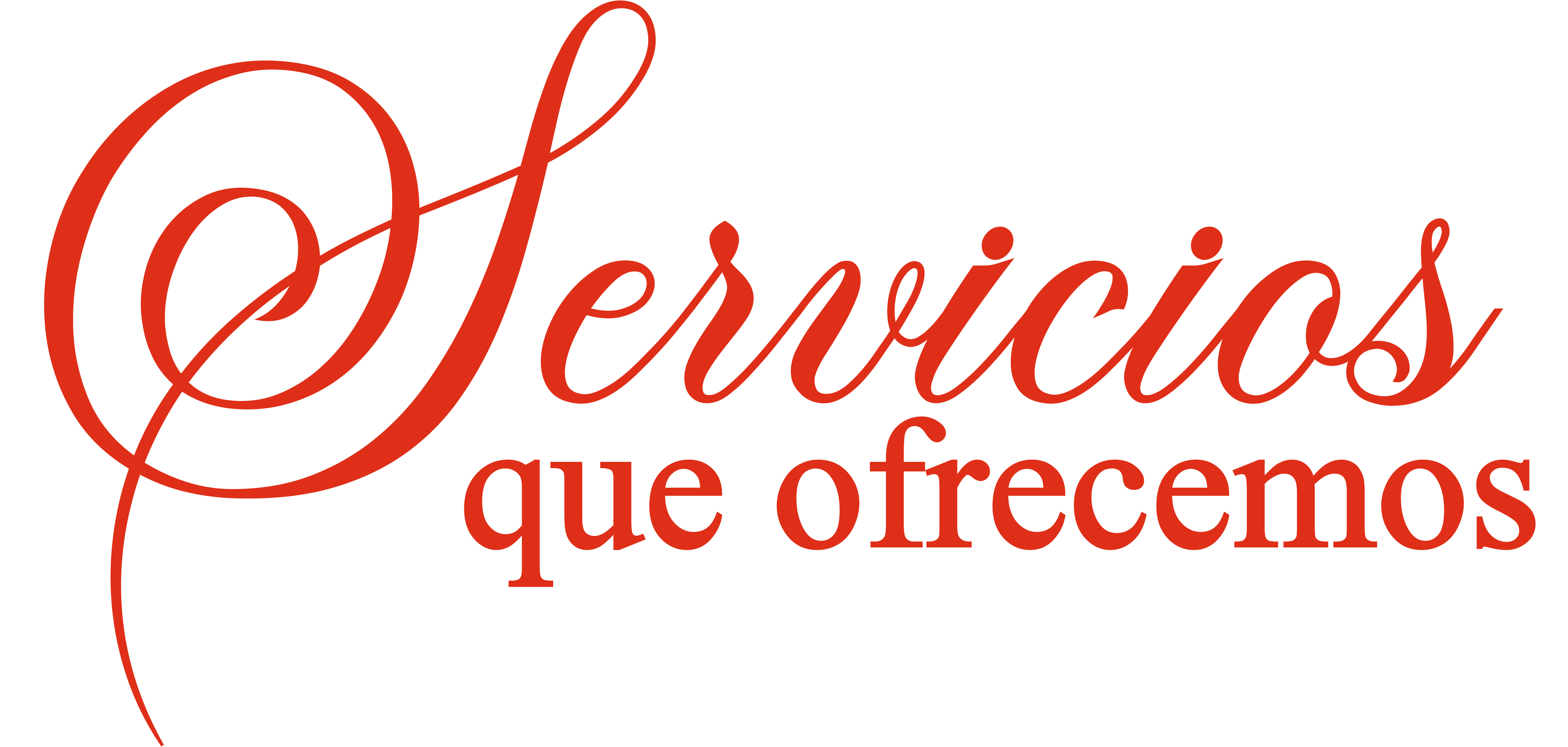 Servicios que ofrecemos